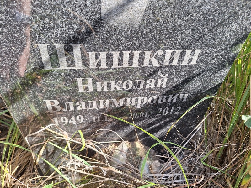 Шишкин