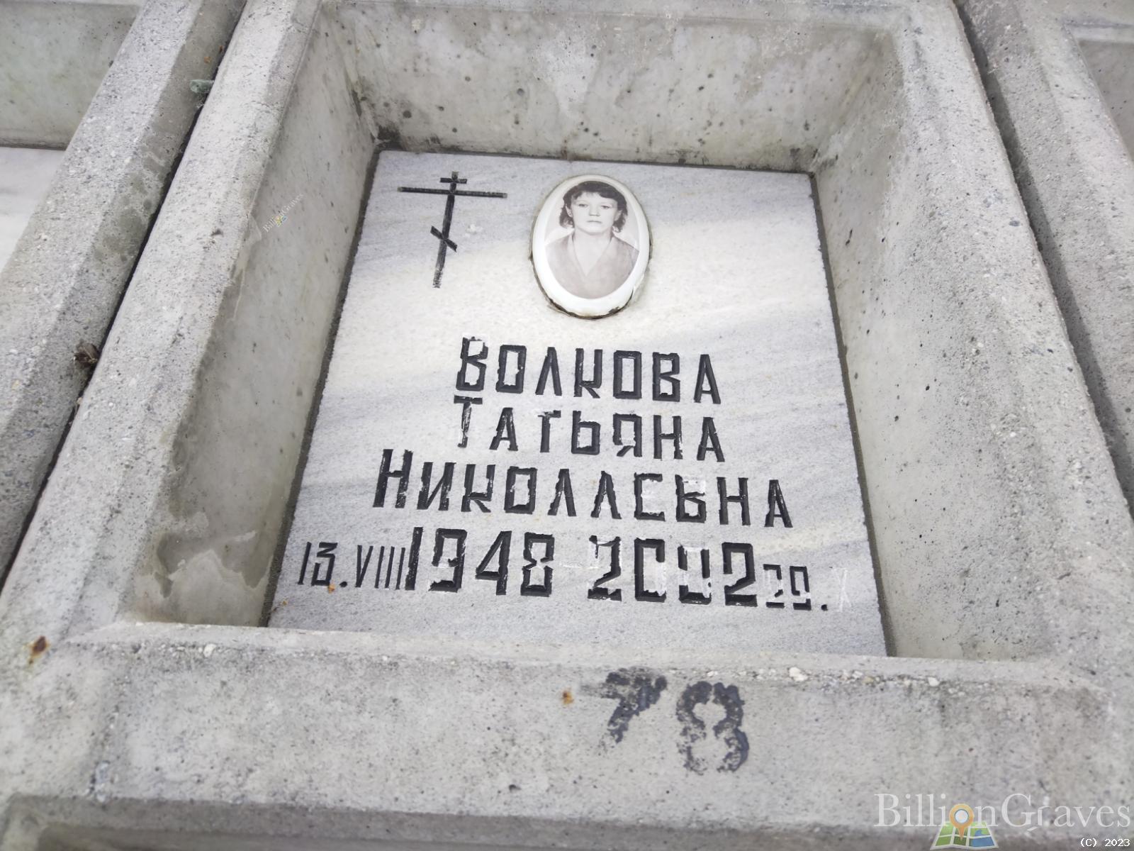 Волкова Татьяна Николаевна