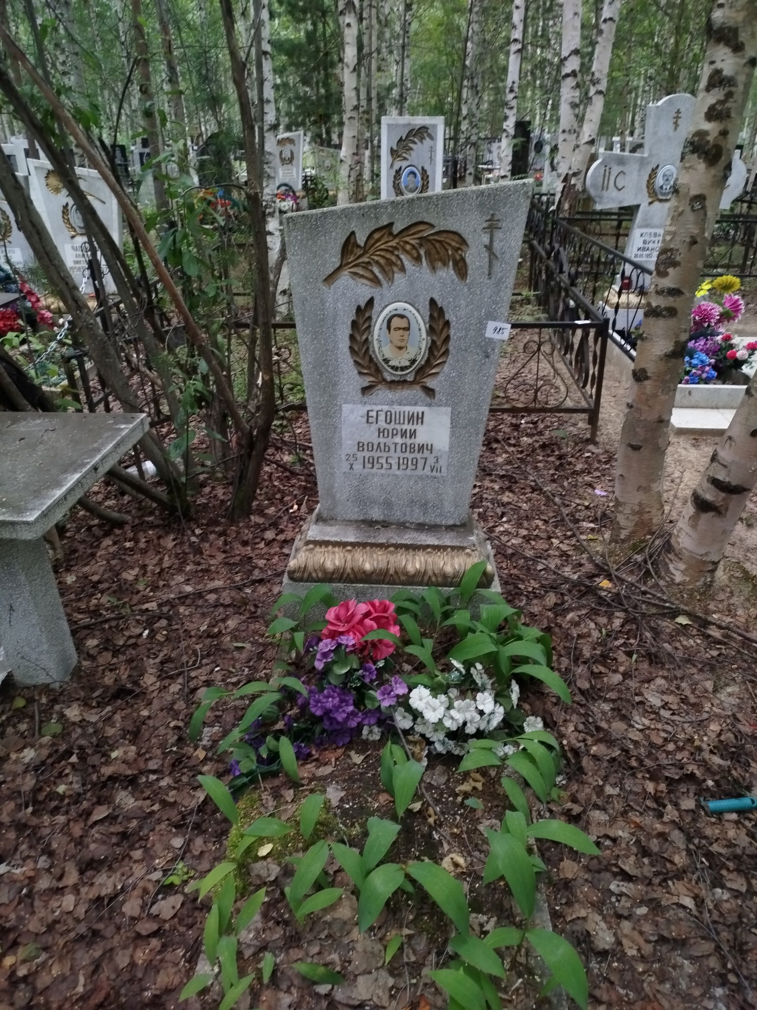 Егошин Юрий Вольтович