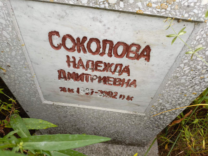Соколова