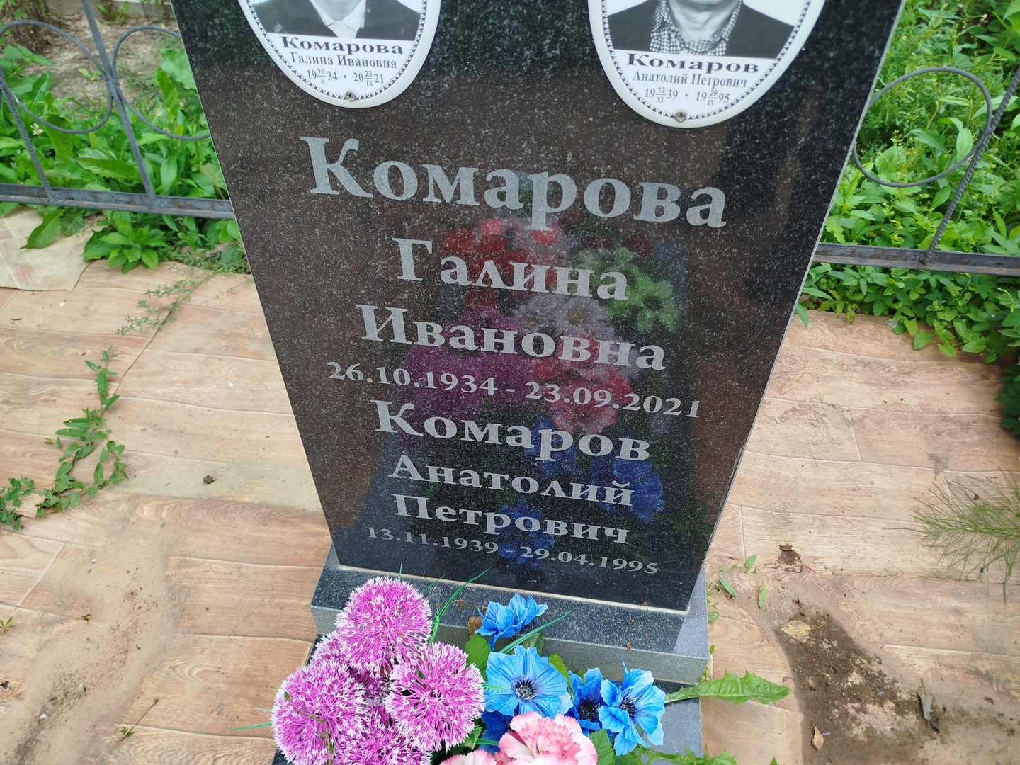 Комарова