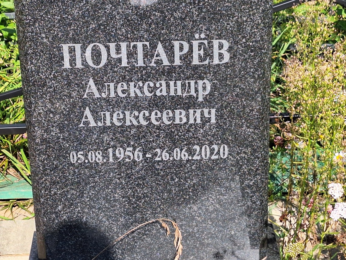 Почтарев