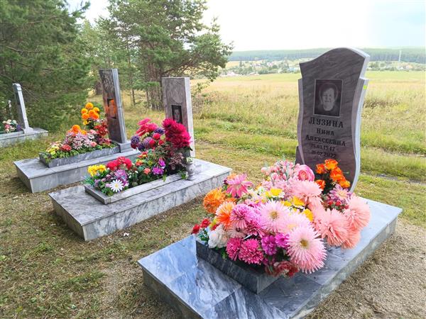Лузин Виктор Александрович