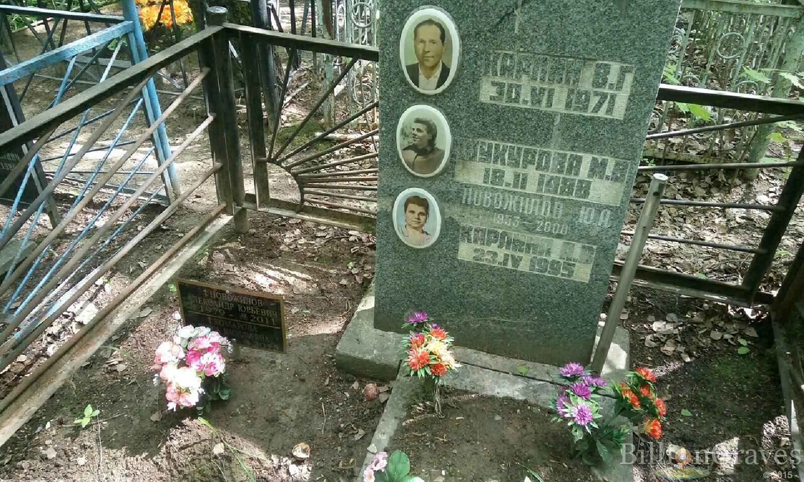 карлина а.в.