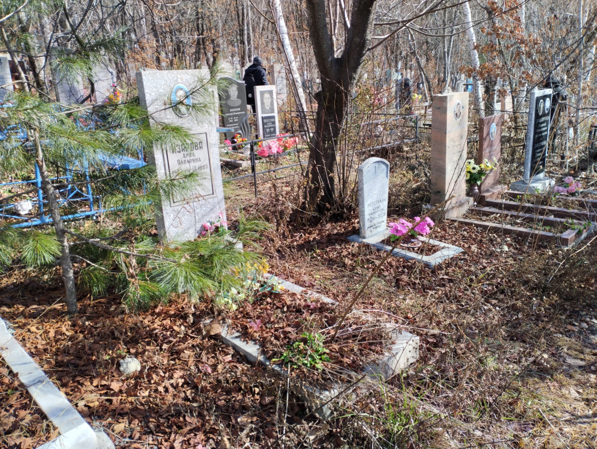 Азарова Анна Павловна