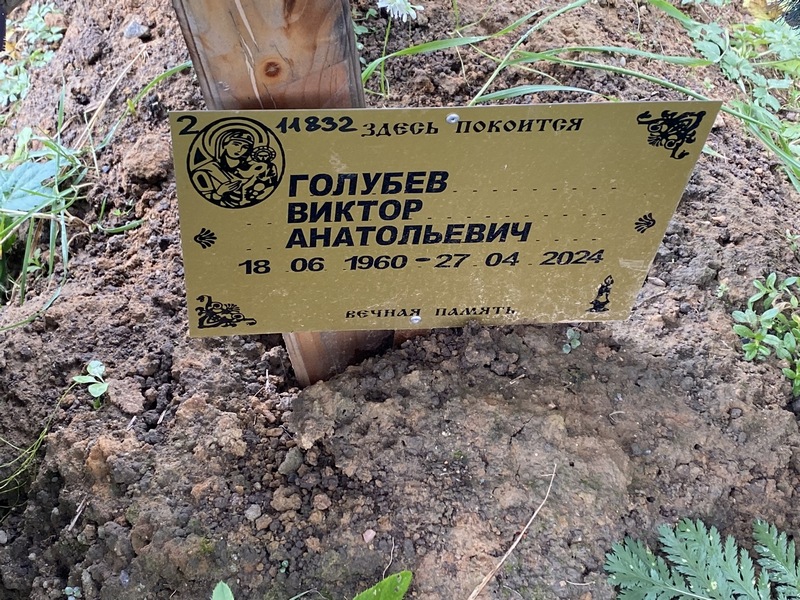 Голубев
