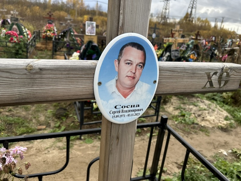 Сосна