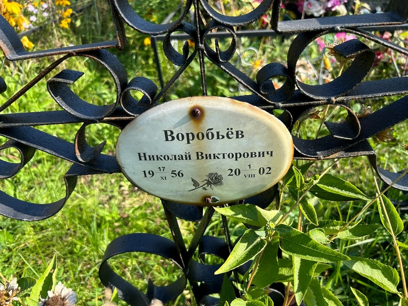 Воробьев