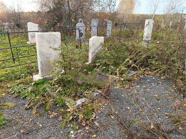 Валитова Аркайя Зинотзяновна