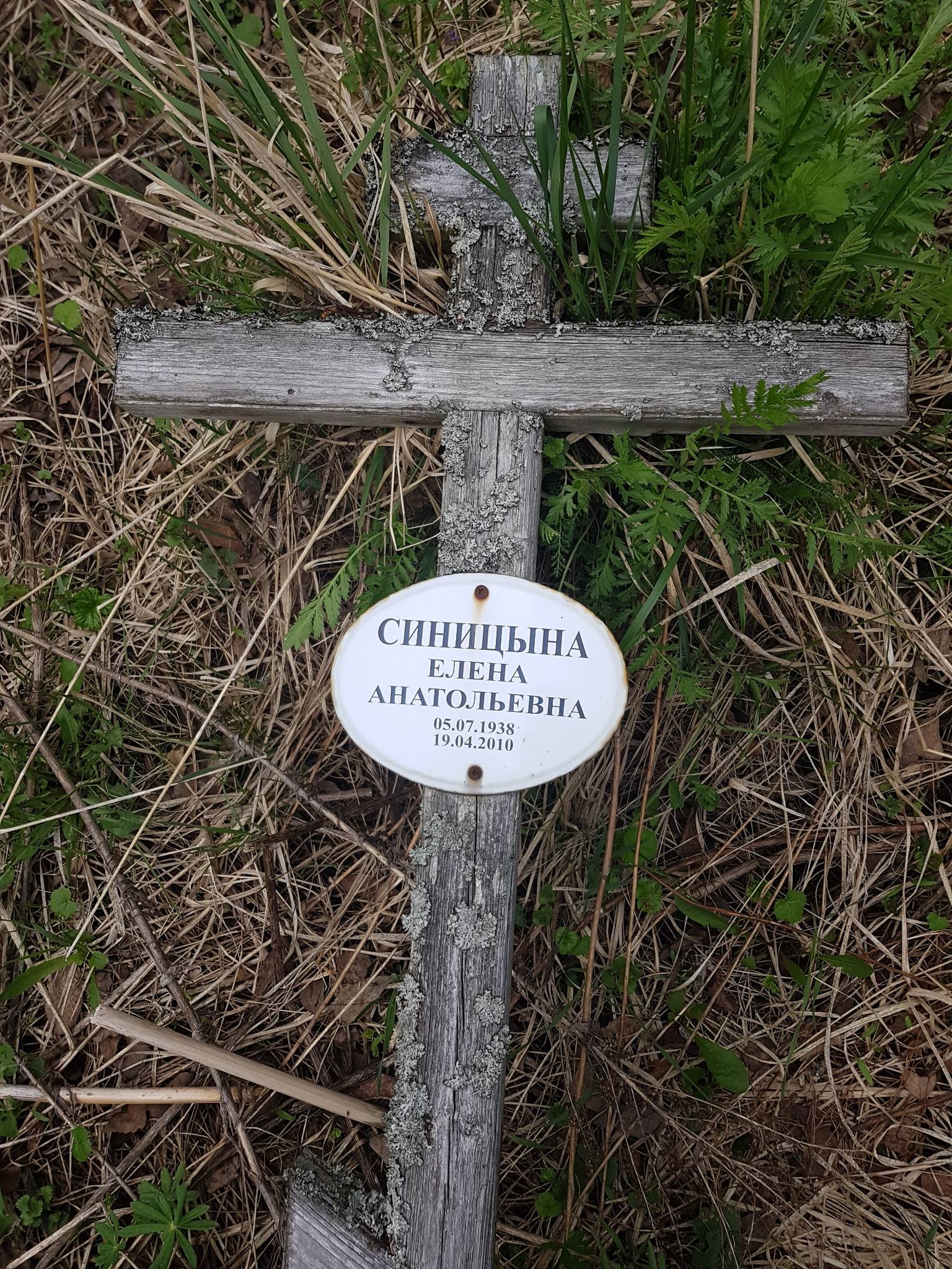 Синицына Елена Анатольевна
