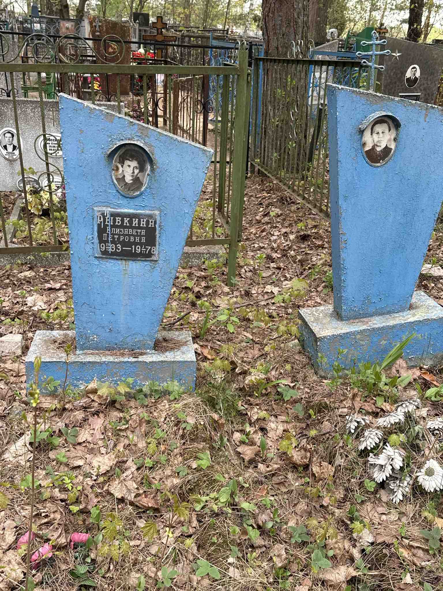 Рыбкина Елизавета Петровна