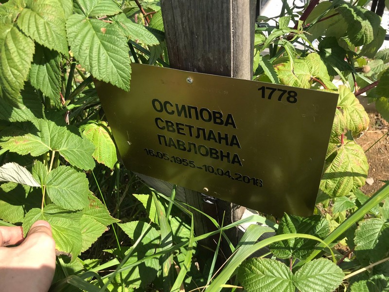 Осипова
