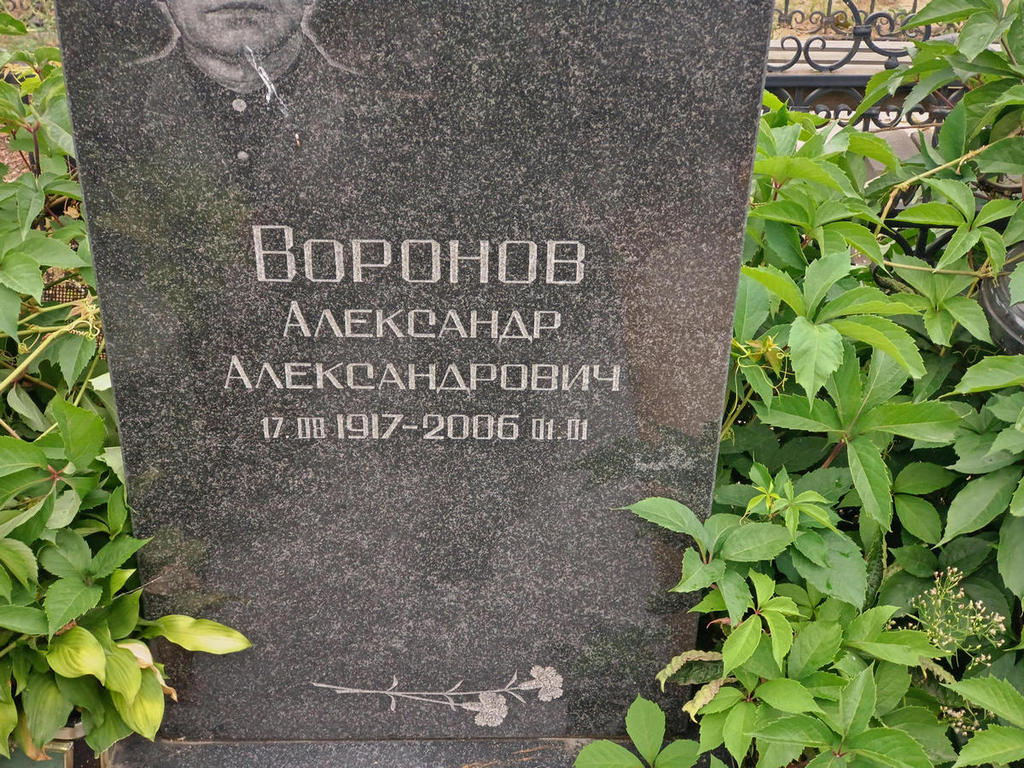 Воронов Александр Александрович