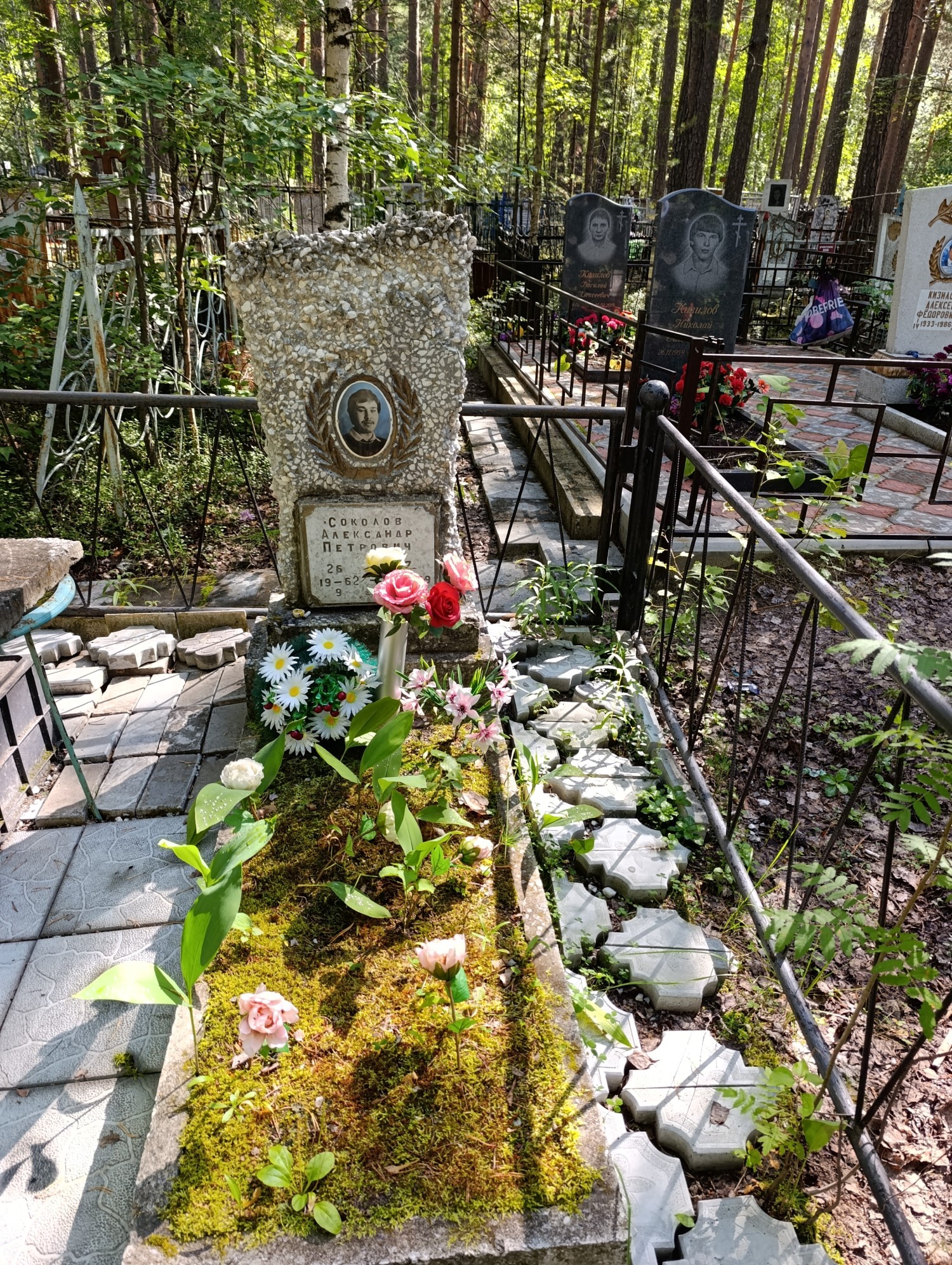 Соколов Александр Петрович