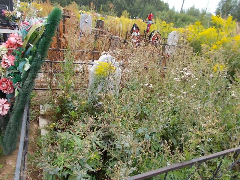 Соловьева Валентина Николаевна
