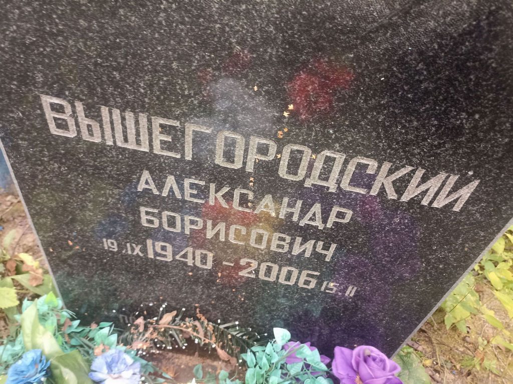 Вышегородский Александр Борисович