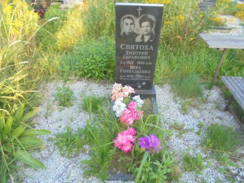 Святоха Дмитрий Аврамович