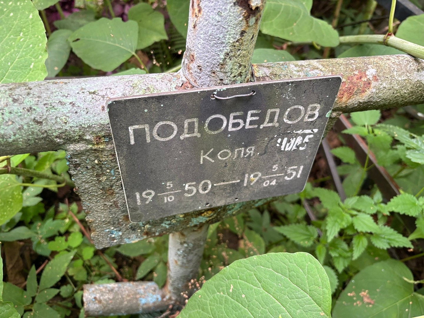 Подобедова Подобедова