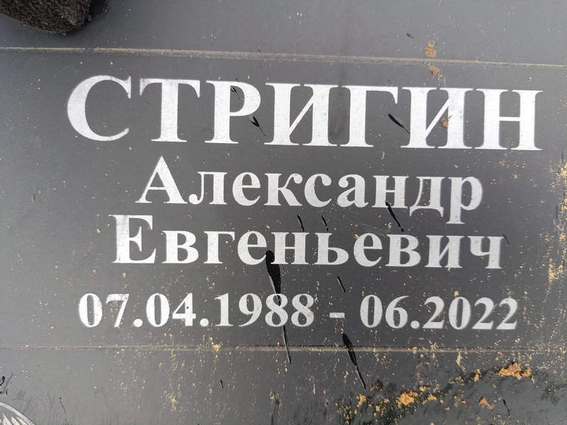 Стригин