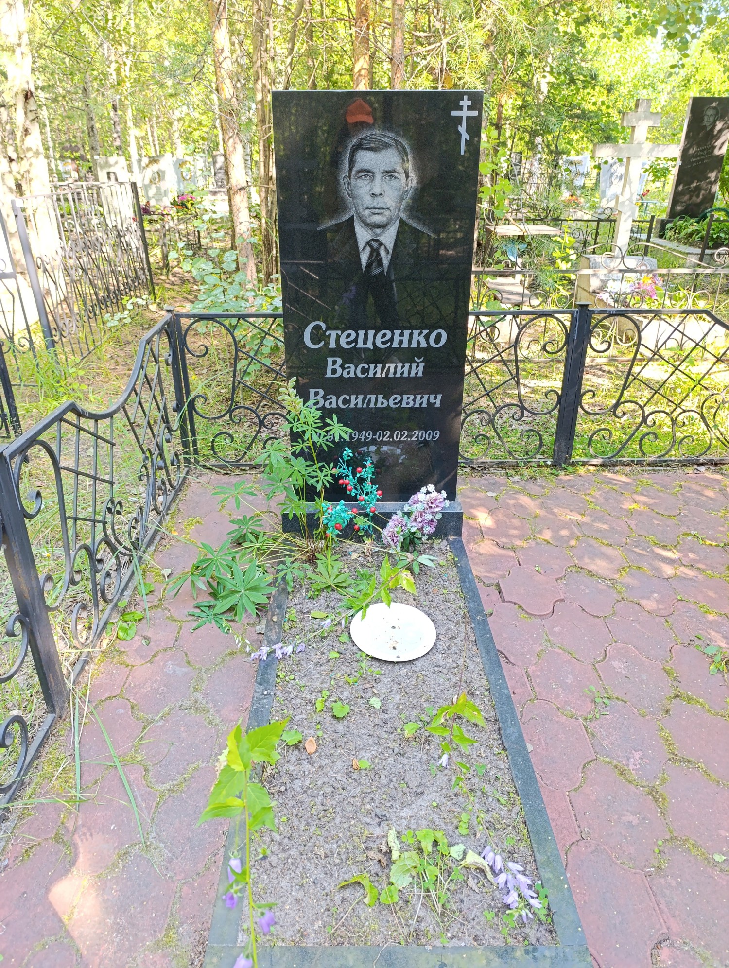 Стеценко Василий Васильевич