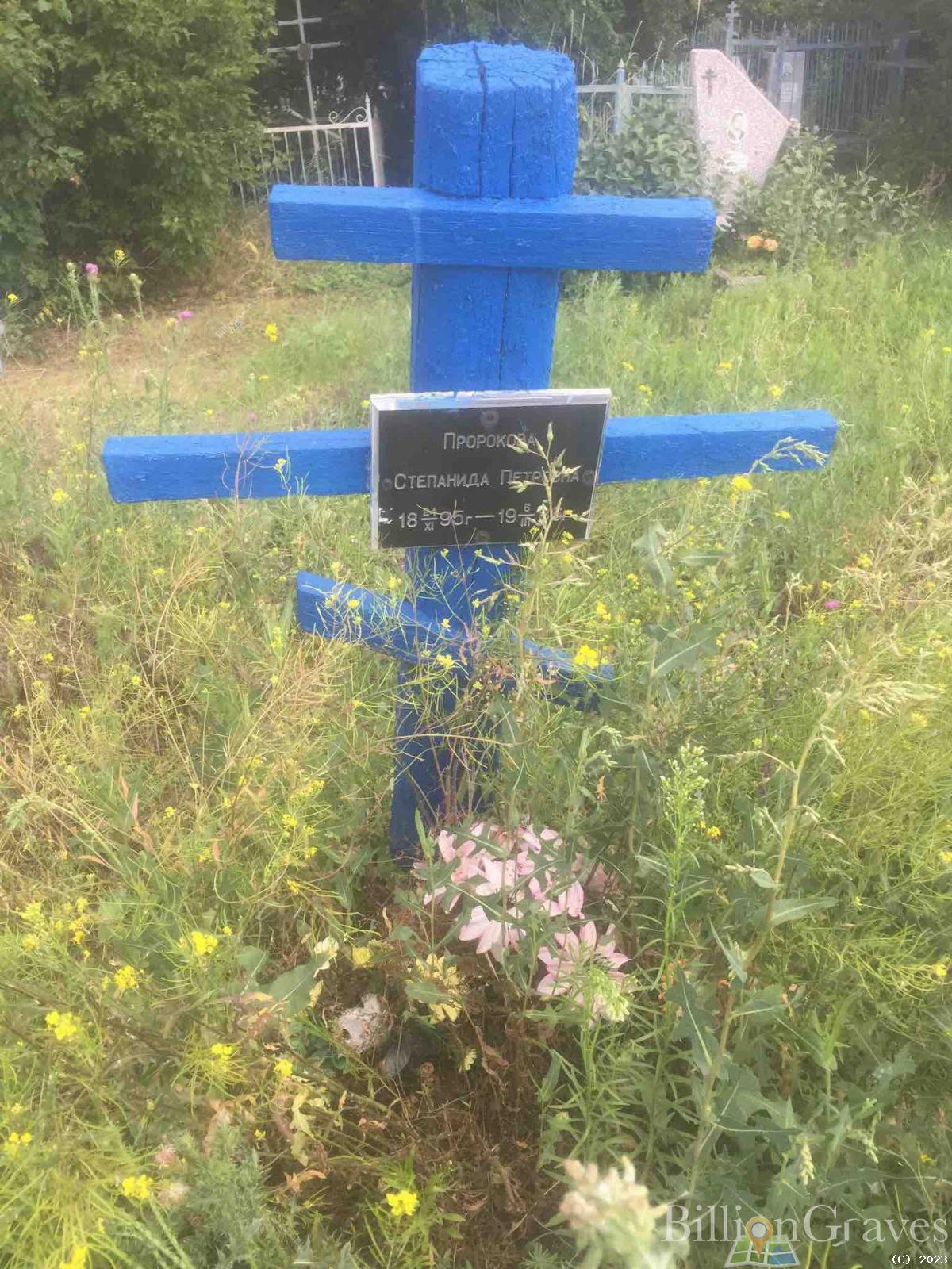 Пророкова Анна Меркуловна