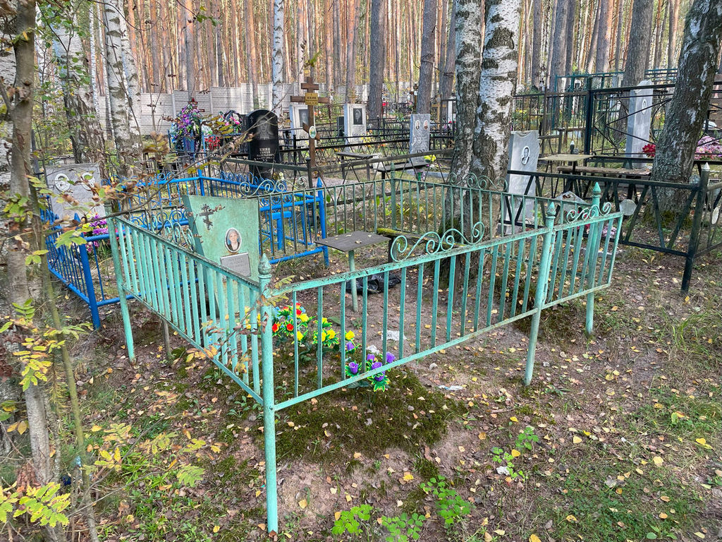 Довнар Василий Брониславович