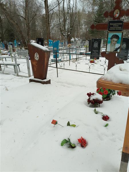 Кондрахина Елена Анатольевна