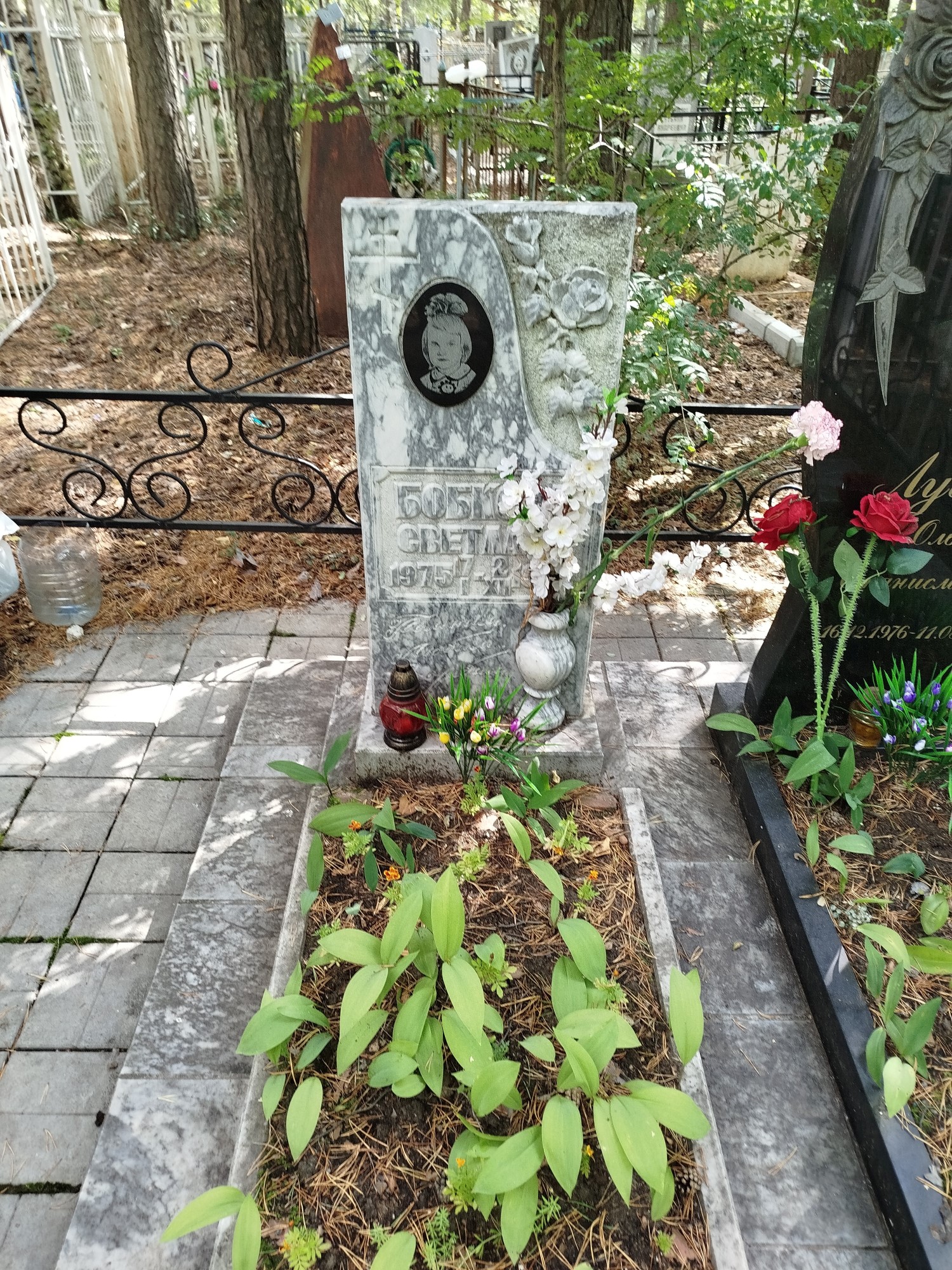 Бобкова Светлана