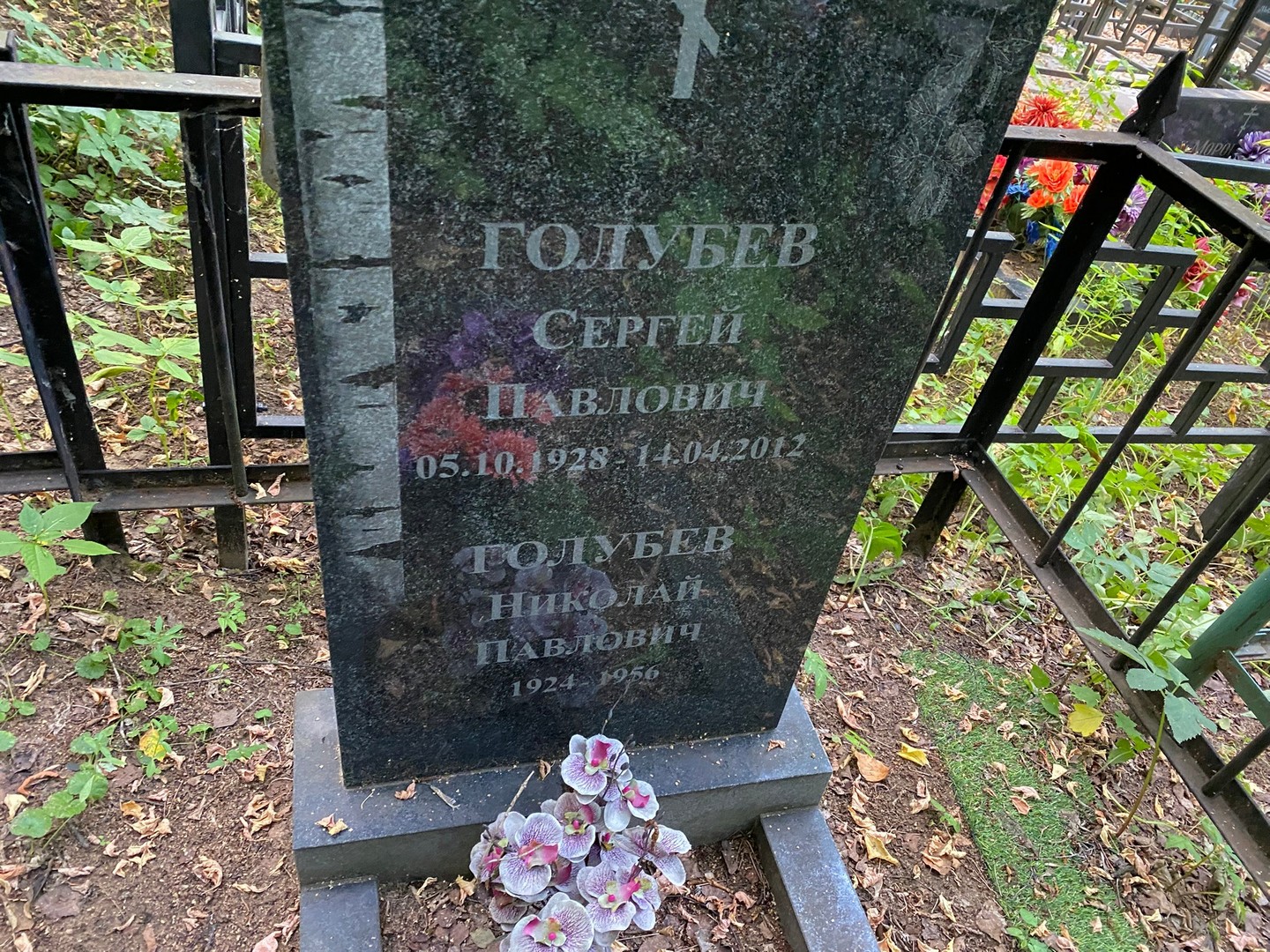 Голубев