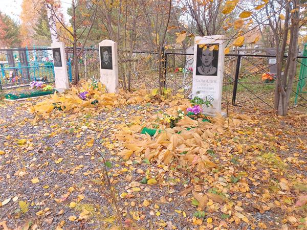Баландин Сергей Евгеньевич