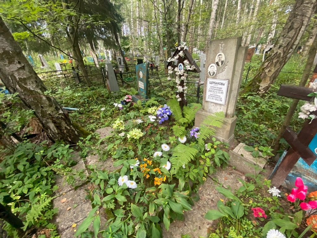 Щербаков Александр Степанович