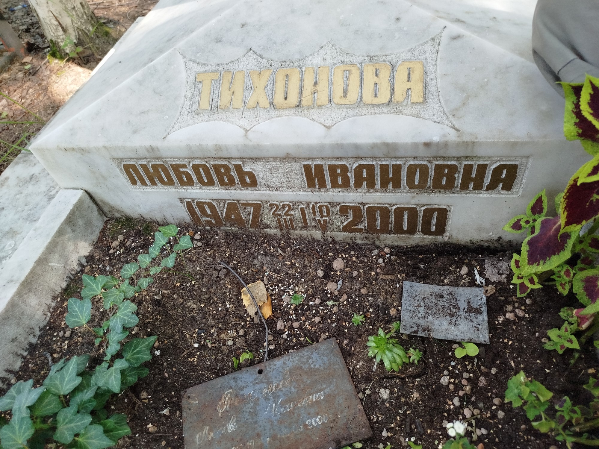 Тихонова Любовь Ивановна