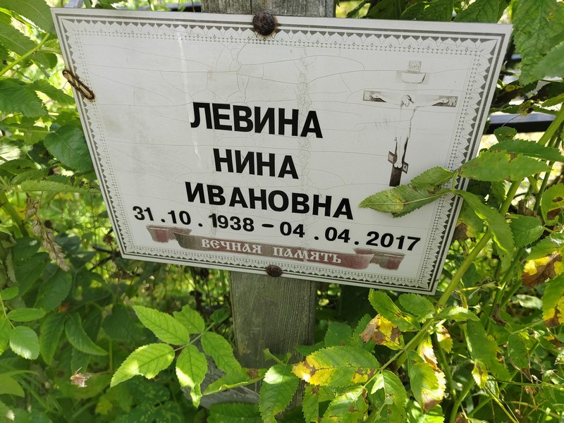 Левина