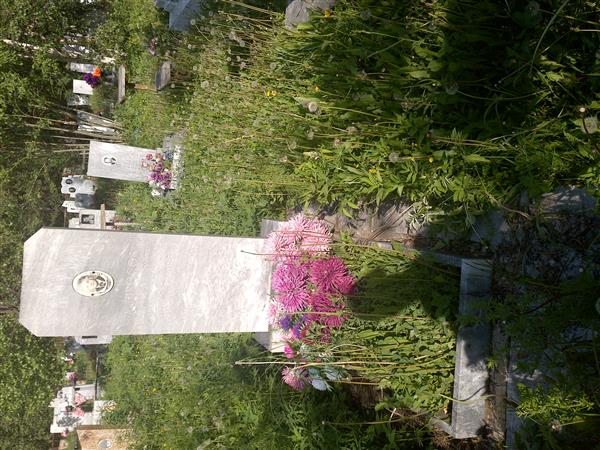 Андросов Алексей Антонович