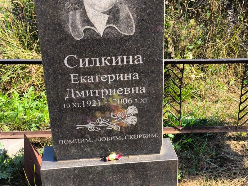 Силкина