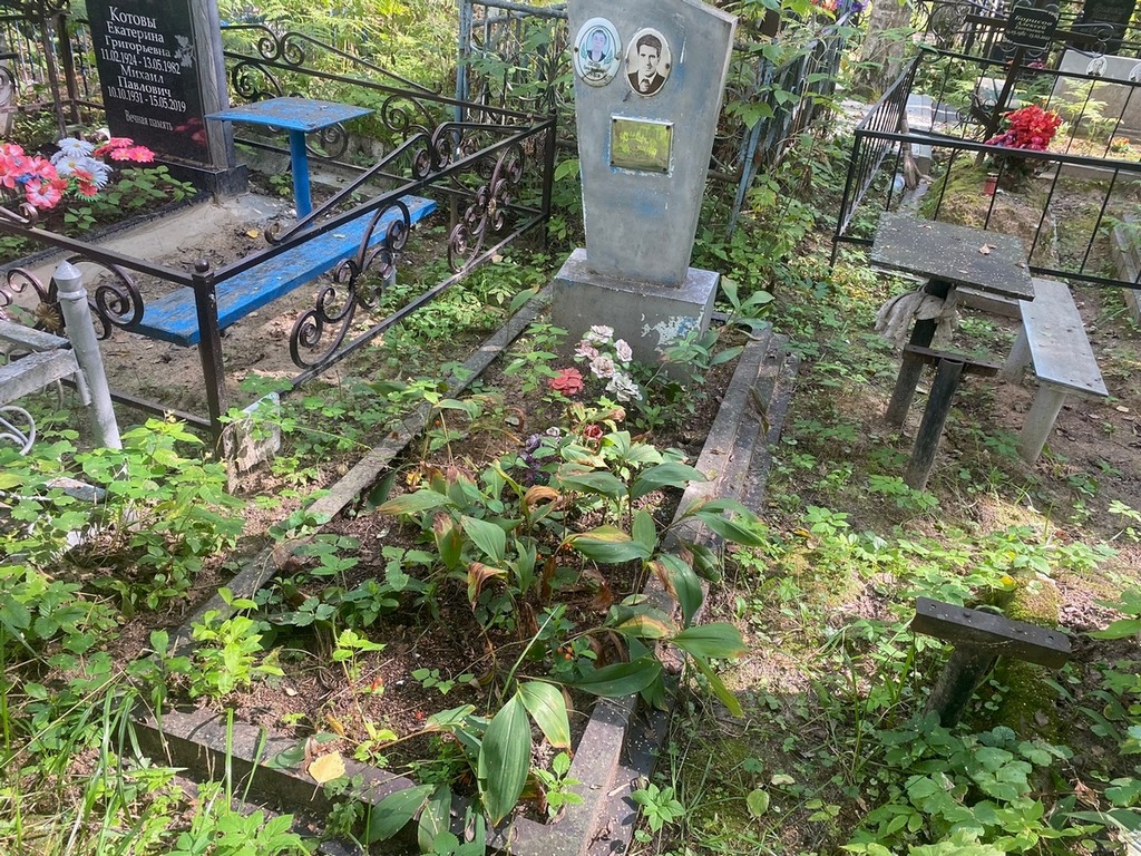 Соснина Елена Михайловна