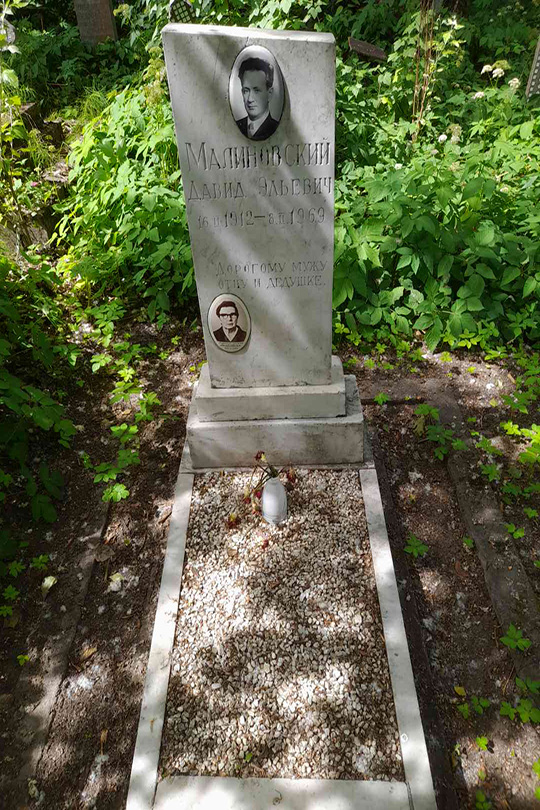 Малиновский Давид Эльевич