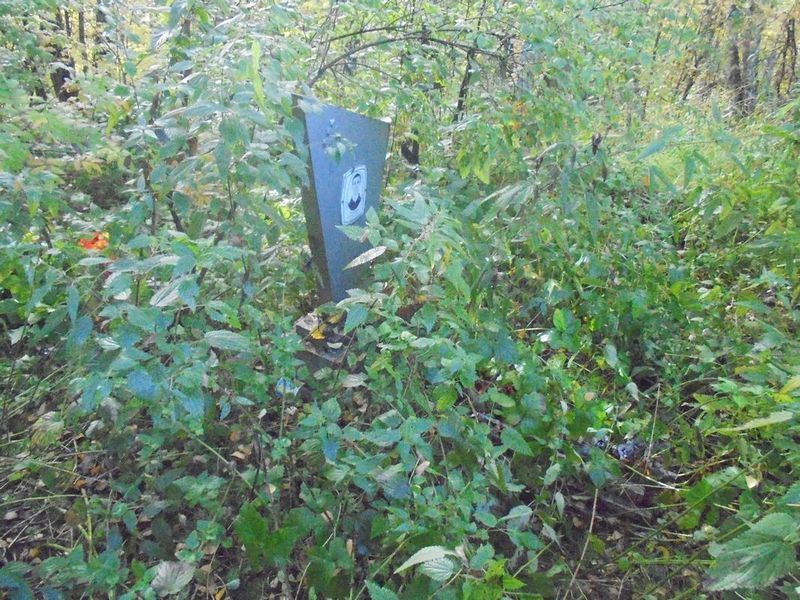 Романов Вячеслав Николаевич