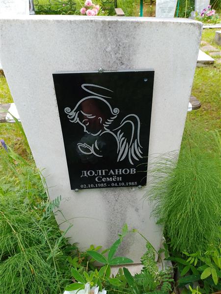 Долганов Семён