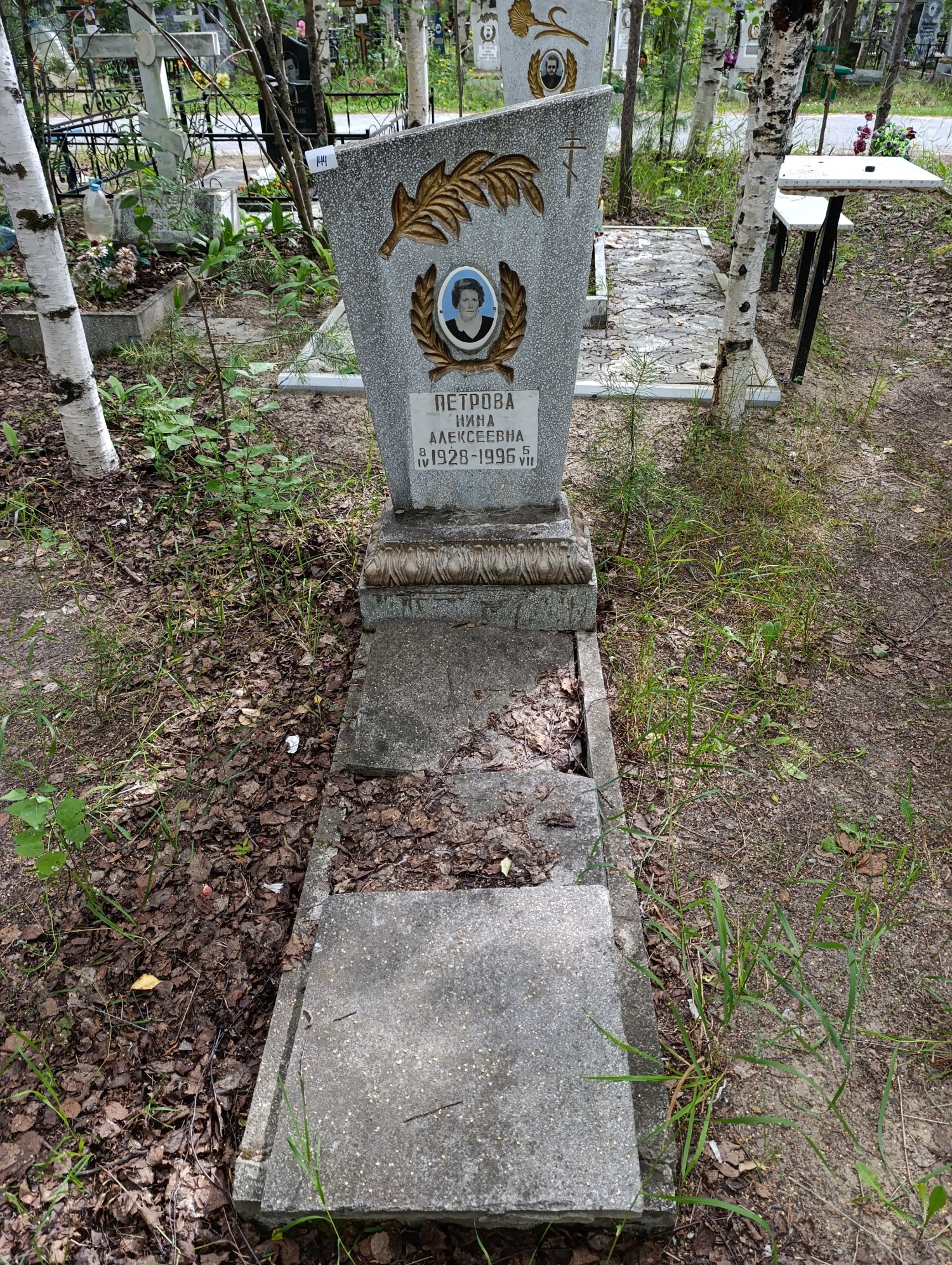 Петрова Нина Алексеевна