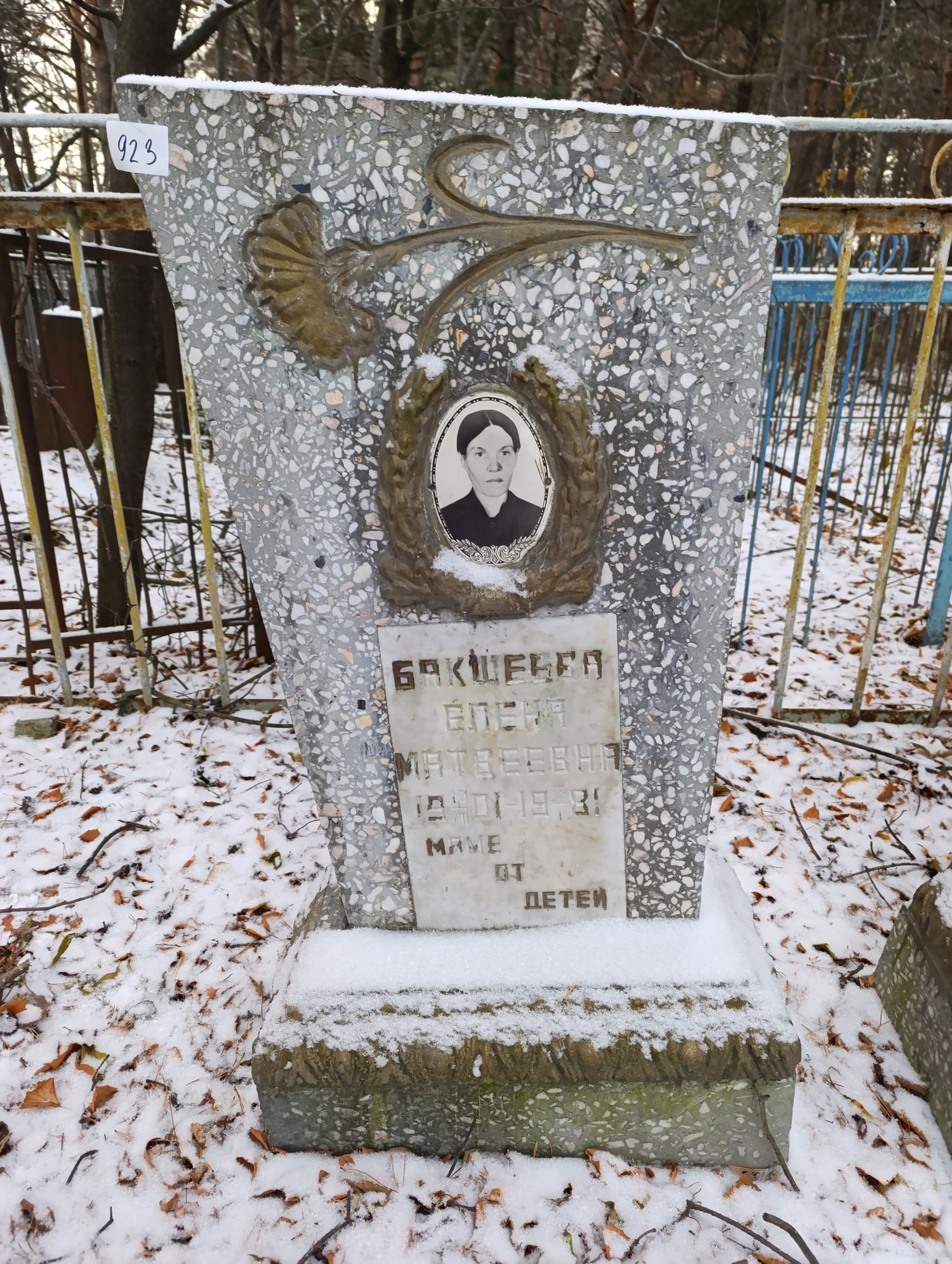 Бакшеева Елена Матвеевна