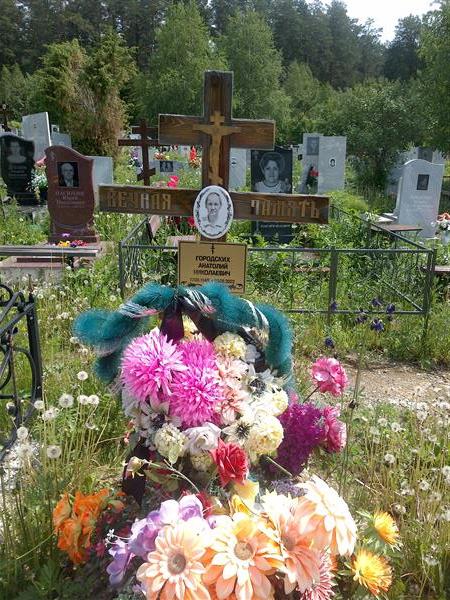 Городских Анатолий Николаевич