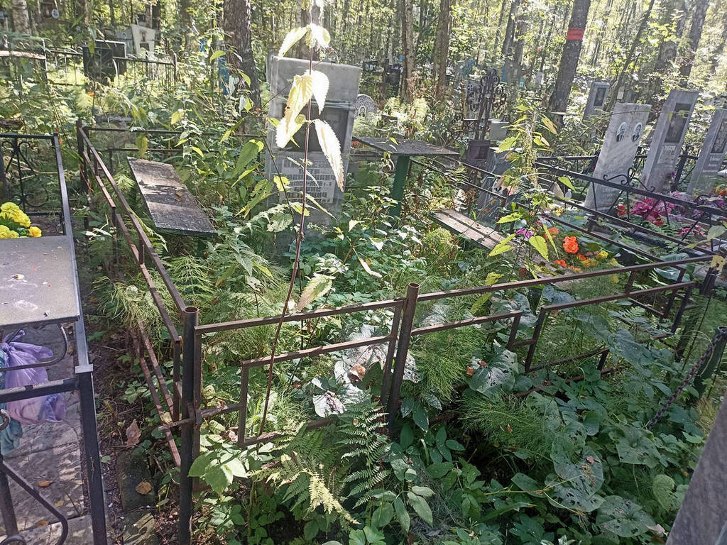 Киреев Борис Петрович