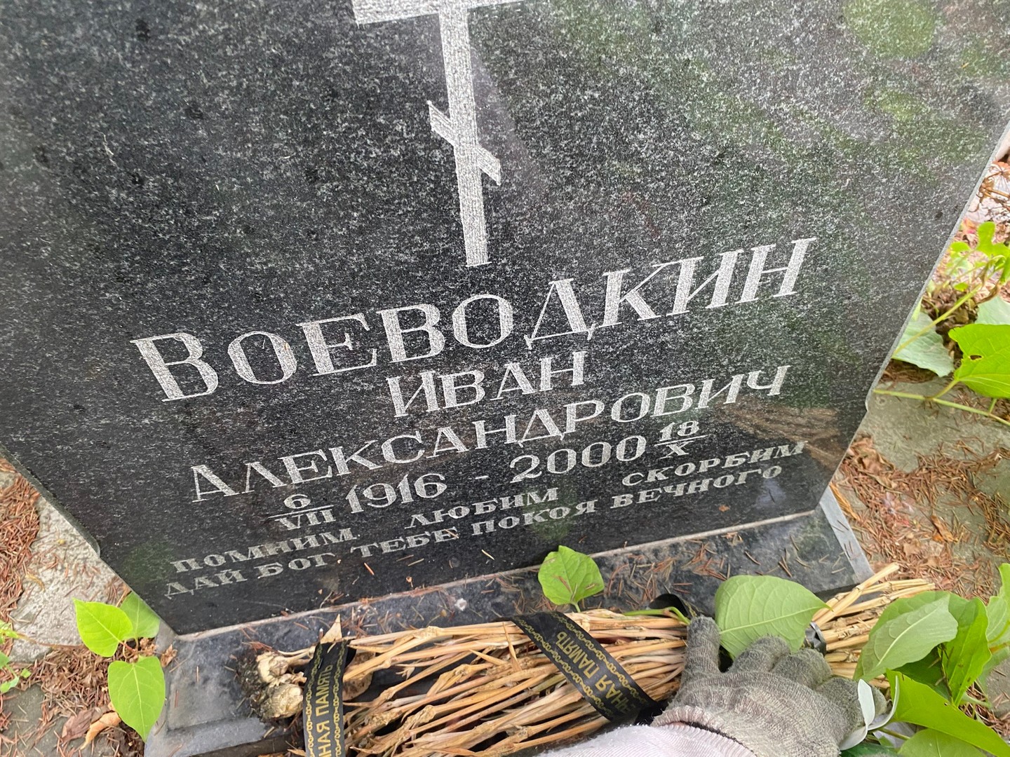 Воеводкин