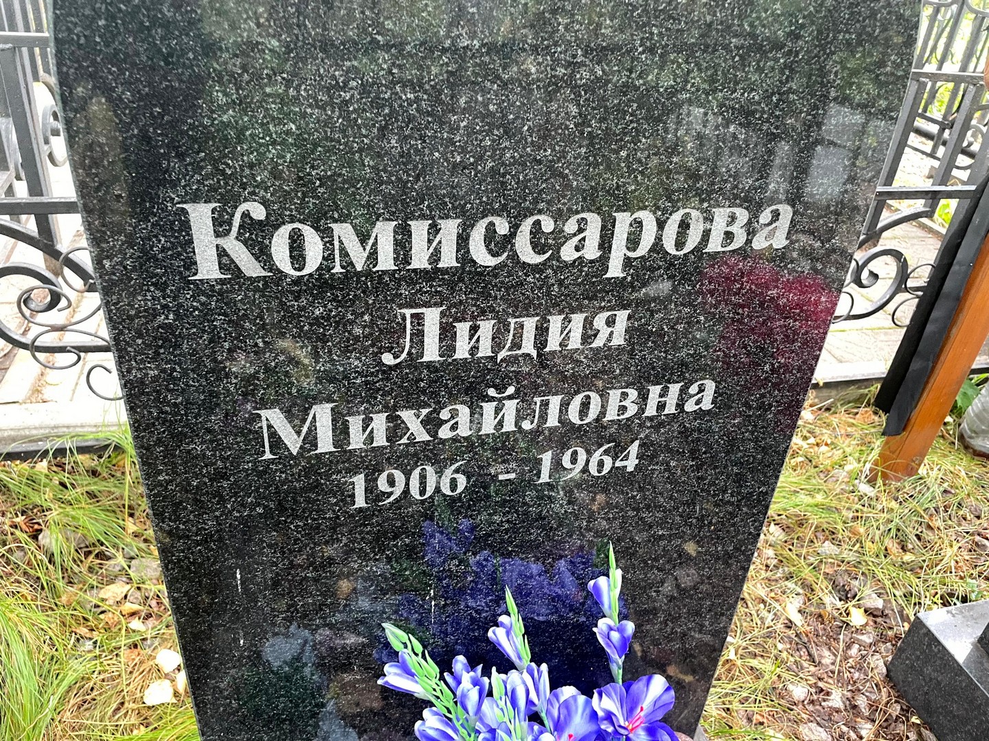 Комиссарова