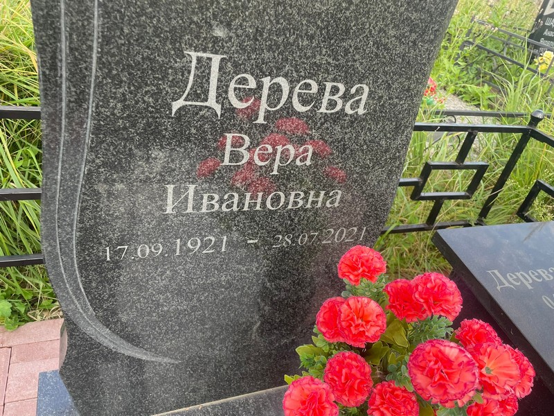 Дерева