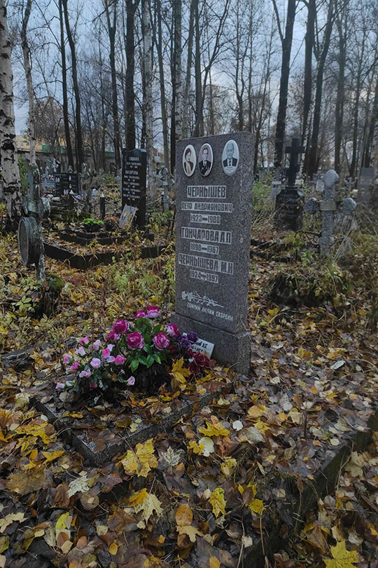 Чернышев Виктор Петрович