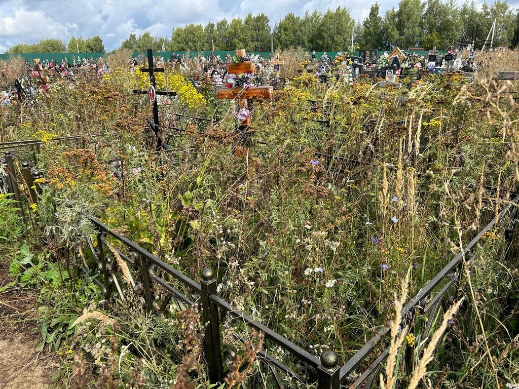 Выдрина Тамара Ивановна
