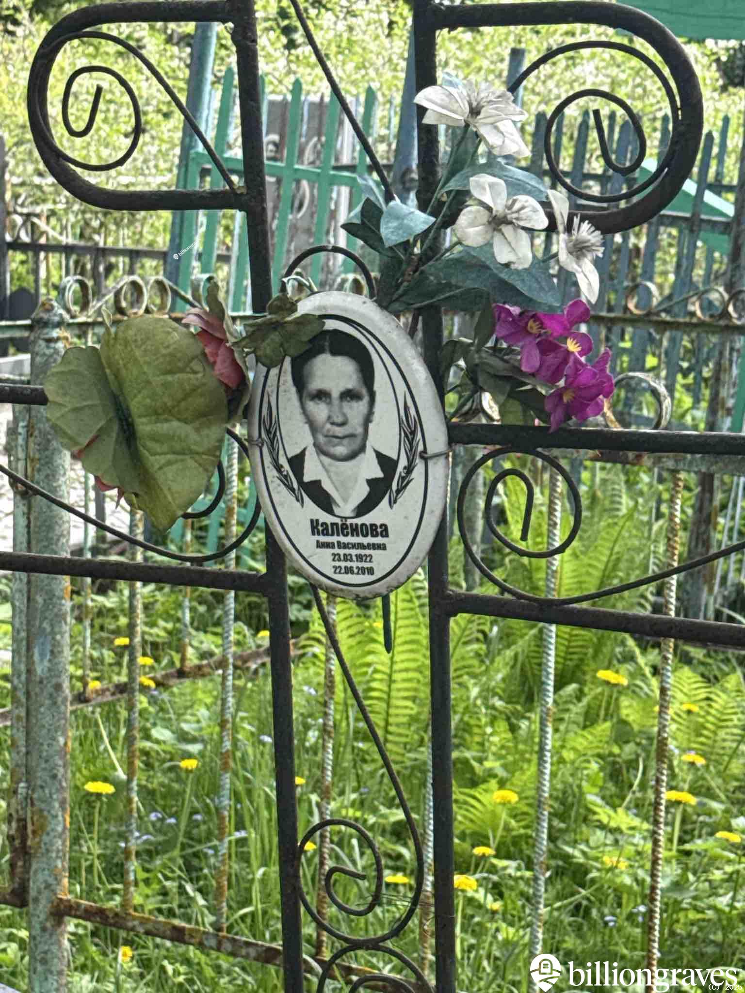 Каленова Анна Васильевна