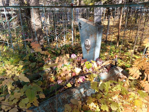 Кондратьева Елизавета Сергеевна